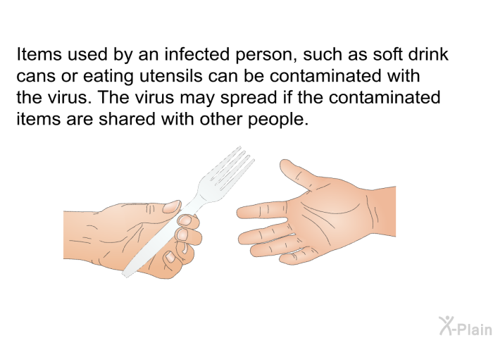 Items used by an infected person, such as soft drink cans or eating utensils can be contaminated with the virus. The virus may spread if the contaminated items are shared with other people.
