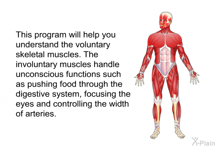 This program will help you understand the voluntary skeletal muscles. The involuntary muscles handle unconscious functions such as pushing food through the digestive system, focusing the eyes and controlling the width of arteries.
