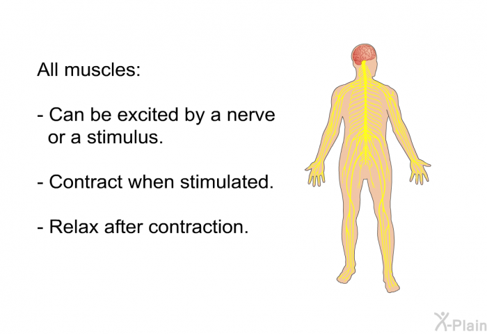 All muscles:  Can be excited by a nerve or a stimulus. Contract when stimulated. Relax after contraction.