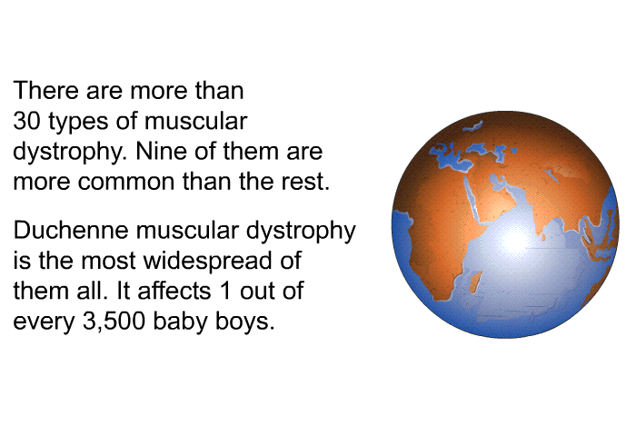There are more than 30 types of muscular dystrophy. Nine of them are more common than the rest. Duchenne muscular dystrophy is the most widespread of them all. It affects 1 out of every 3,500 baby boys.