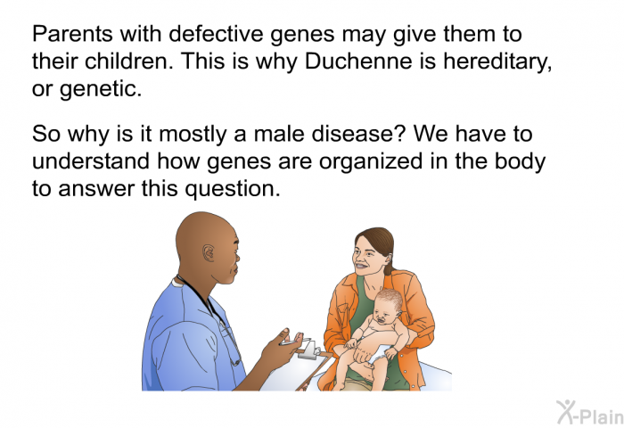 Parents with defective genes may give them to their children. This is why Duchenne is hereditary, or genetic. So why is it mostly a male disease? We have to understand how genes are organized in the body to answer this question.