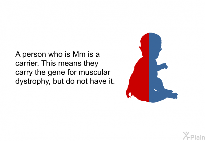 A person who is Mm is a carrier. This means they carry the gene for muscular dystrophy, but do not have it.