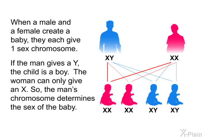 When a male and a female create a baby, they each give 1 sex chromosome. If the man gives a Y, the child is a boy. The woman can only give an X. So, the man's chromosome determines the sex of the baby.