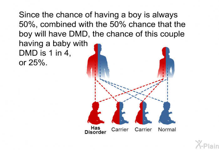 Since the chance of having a boy is always 50%, combined with the 50% chance that the boy will have DMD, the chance of this couple having a baby with DMD is 1 in 4, or 25%.