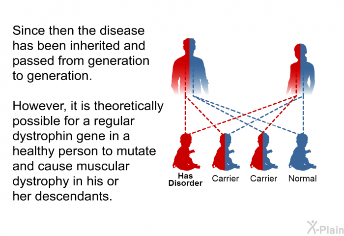 Since then the disease has been inherited and passed from generation to generation. However, it is theoretically possible for a regular dystrophin gene in a healthy person to mutate and cause muscular dystrophy in his or her descendants.