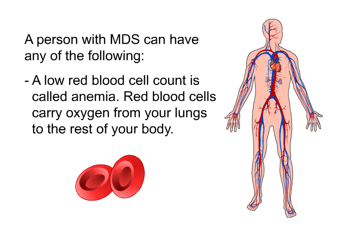 A person with MDS can have any of the following:  A low red blood cell count is called anemia. Red blood cells carry oxygen from your lungs to the rest of your body.