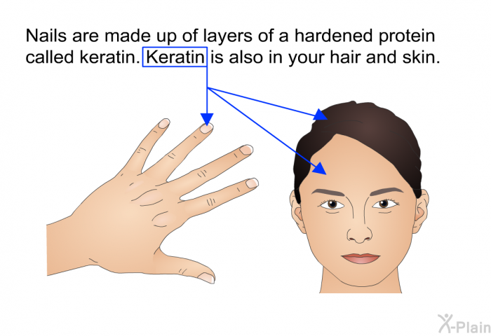 Nails are made up of layers of a hardened protein called keratin. Keratin is also in your hair and skin.