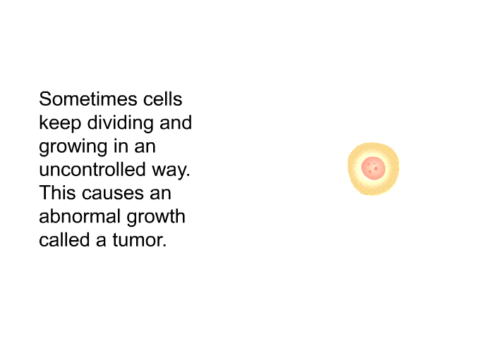 Sometimes cells keep dividing and growing in an uncontrolled way. This causes an abnormal growth called a tumor.