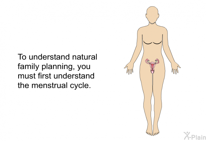 To understand natural family planning, you must first understand the menstrual cycle.