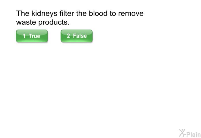 The kidneys filter the blood to remove waste products.