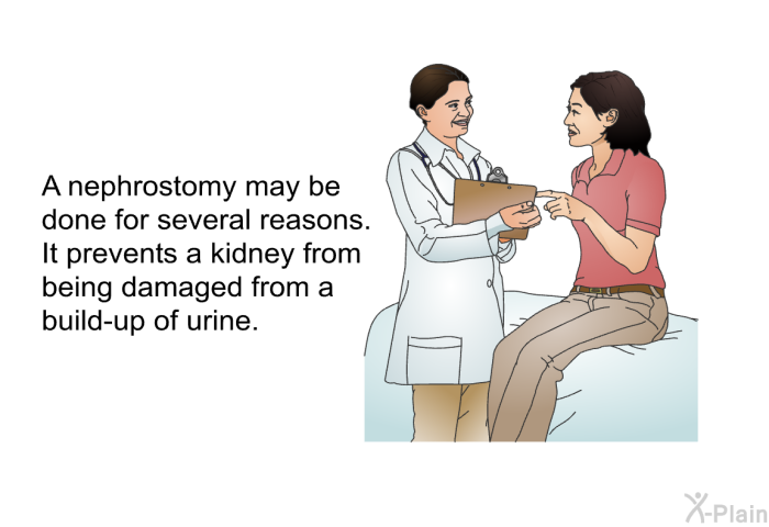 A nephrostomy may be done for several reasons. It prevents a kidney from being damaged from a build-up of urine.