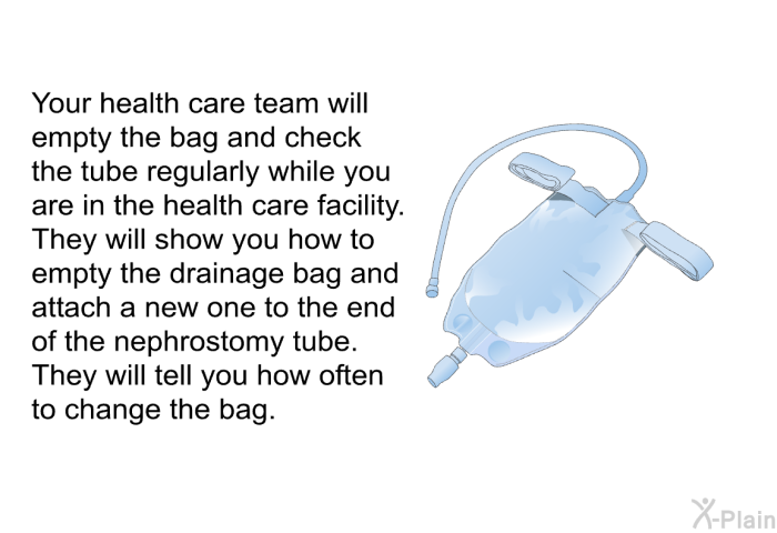 Your health care team will empty the bag and check the tube regularly while you are in the health care facility. They will show you how to empty the drainage bag and attach a new one to the end of the nephrostomy tube. They will tell you how often to change the bag.