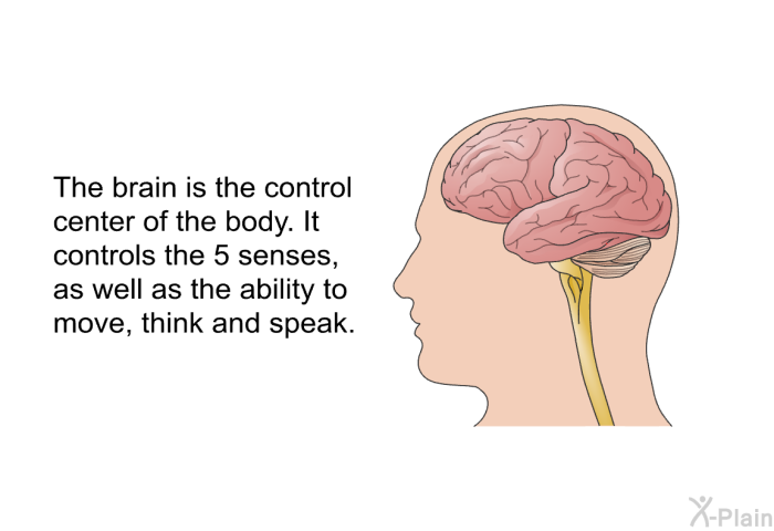 The brain is the control center of the body. It controls the 5 senses as well as the ability to move, think and speak.