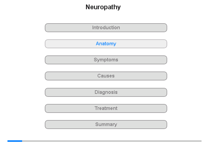 Anatomy of the Peripheral Nerves