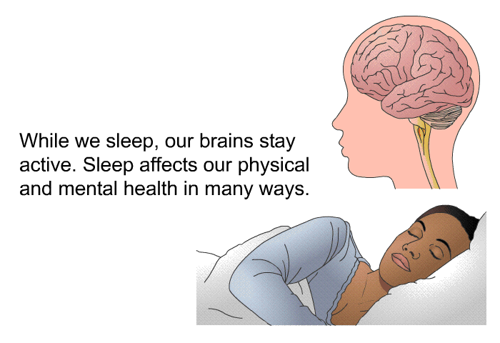 While we sleep, our brains stay active. Sleep affects our physical and mental health in many ways.
