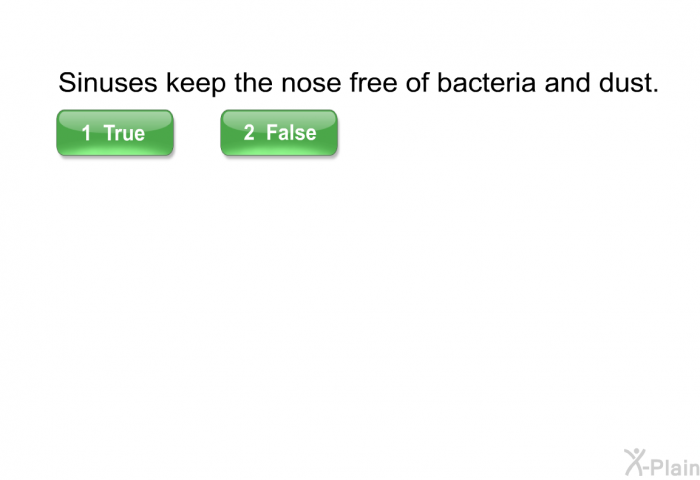 Sinuses keep the nose free of bacteria and dust.