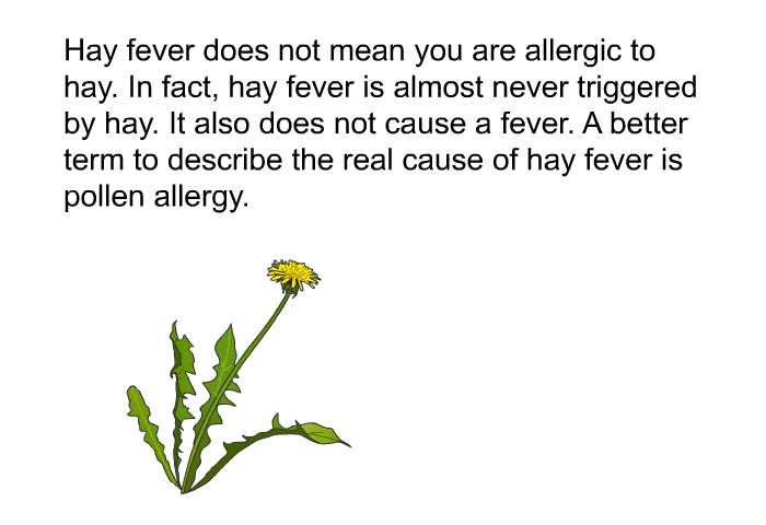 Hay fever does not mean you are allergic to hay. In fact, hay fever is almost never triggered by hay. It also does not cause a fever. A better term to describe the real cause of hay fever is pollen allergy.