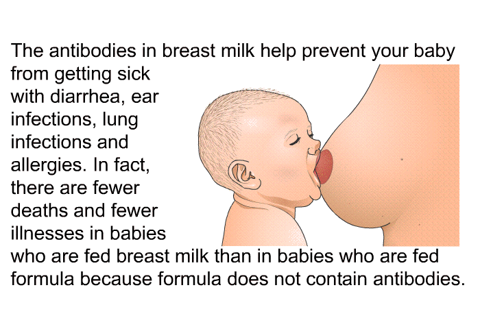 The antibodies in breast milk help prevent your baby from getting sick with diarrhea, ear infections, lung infections and allergies. In fact, there are fewer deaths and fewer illnesses in babies who are fed breast milk than in babies who are fed formula because formula does not contain antibodies.