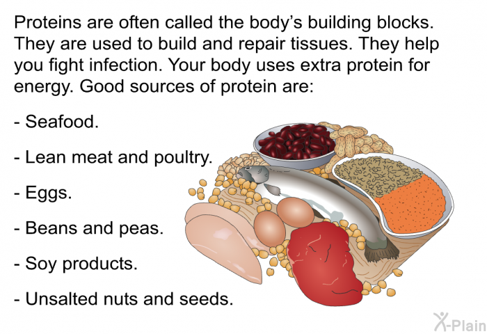 Proteins are often called the body's building blocks. They are used to build and repair tissues. They help you fight infection. Your body uses extra protein for energy. Good sources of protein are:  Seafood. Lean meat and poultry. Eggs. Beans and peas. Soy products. Unsalted nuts and seeds.