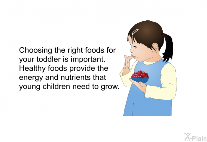 Choosing the right foods for your toddler is important. Healthy foods provide the energy and nutrients that young children need to grow.