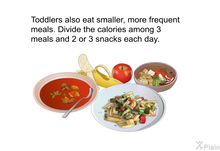 Toddlers also eat smaller, more frequent meals. Divide the calories among 3 meals and 2 or 3 snacks each day.