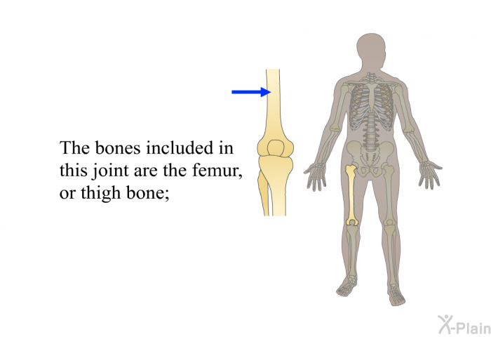 The bones included in this joint are the femur, or thigh bone; the tibia, one of the lower leg bones; and the patella, a floating bone that gives the knee its round shape.