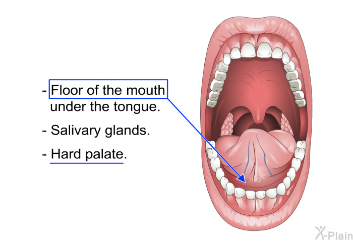 Floor of the mouth under the tongue. Salivary glands. Hard palate.