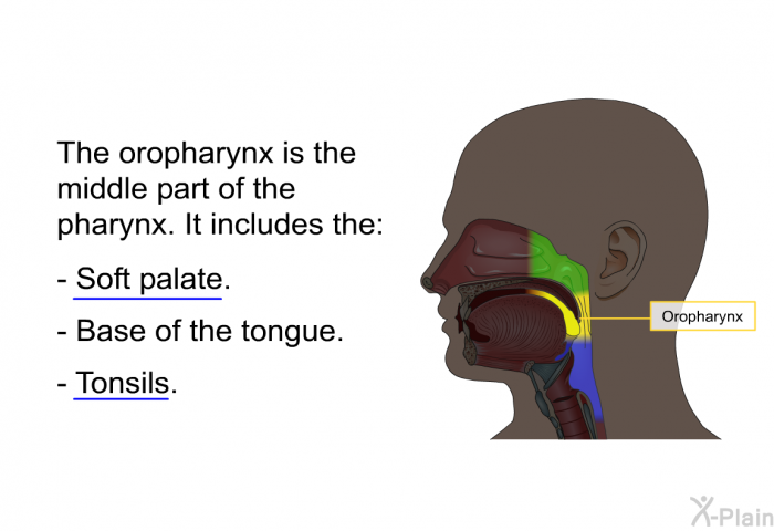 The oropharynx is the middle part of the pharynx. It includes the:  Soft palate. Base of the tongue. Tonsils.