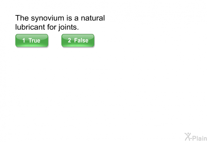 The synovium is a natural lubricant for joints.