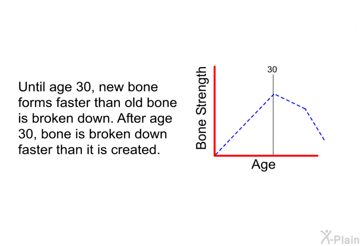 Until age 30, new bone forms faster than old bone is broken down. After age 30, bone is broken down faster than it is created.