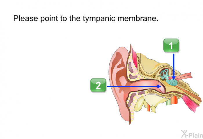 Please point to the tympanic membrane.