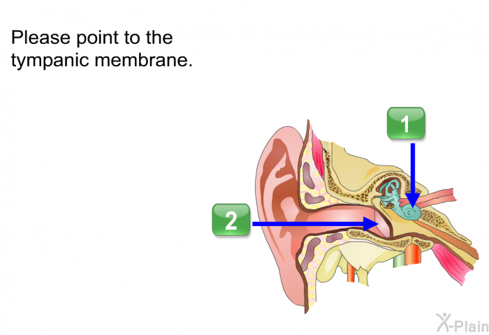 Please point to the tympanic membrane.
