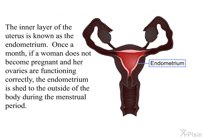 The inner layer of the uterus is known as the endometrium. Once a month, if a woman does not become pregnant and her ovaries are functioning correctly, the endometrium is shed to the outside of the body during the menstrual period.