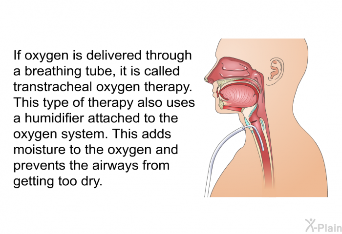 If oxygen is delivered through a breathing tube, it is called transtracheal oxygen therapy. This type of therapy also uses a humidifier attached to the oxygen system. This adds moisture to the oxygen and prevents the airways from getting too dry.