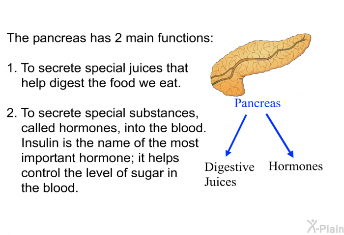 The pancreas has 2 main functions:  To secrete special juices that help digest the food we eat. To secrete special substances, called hormones, into the blood. Insulin is the name of the most important hormone; it helps control the level of sugar in the blood.