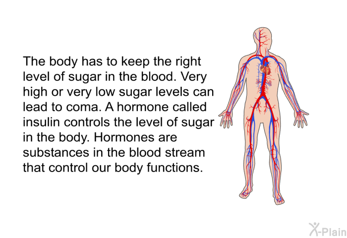 The body has to keep the right level of sugar in the blood. Very high or very low sugar levels can lead to coma. A hormone called insulin controls the level of sugar in the body. Hormones are substances in the blood stream that control our body functions.