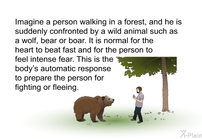 Imagine a person walking in a forest, and he is suddenly confronted by a wild animal such as a wolf, bear or boar. It is normal for the heart to beat fast and for the person to feel intense fear. This is the body's automatic response to prepare the person for fighting or fleeing.