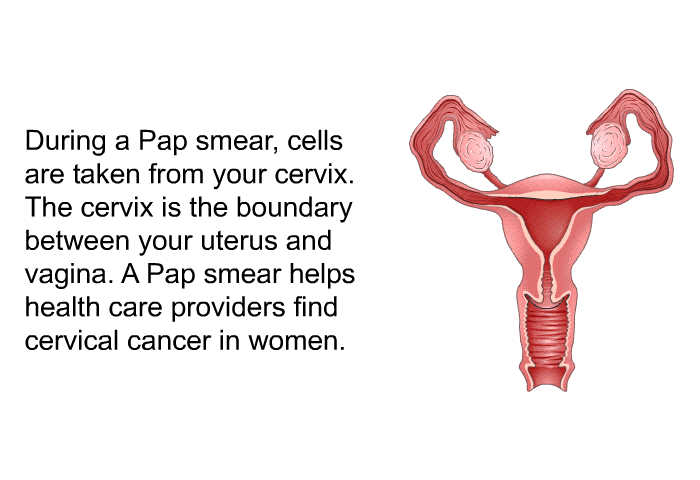 During a Pap smear, cells are taken from your cervix. The cervix is the boundary between your uterus and vagina. A Pap smear helps health care providers find cervical cancer in women.