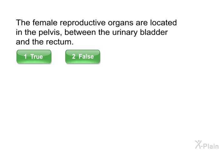 The female reproductive organs are located in the pelvis, between the urinary bladder and the rectum.