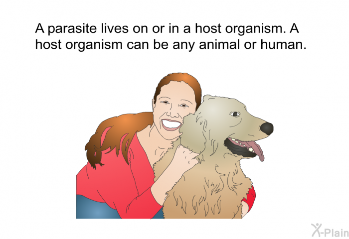 A parasite lives on or in a host organism. A host organism can be any animal or human.