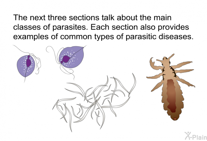 The next three sections talk about the main classes of parasites. Each section also provides examples of common types of parasitic diseases.