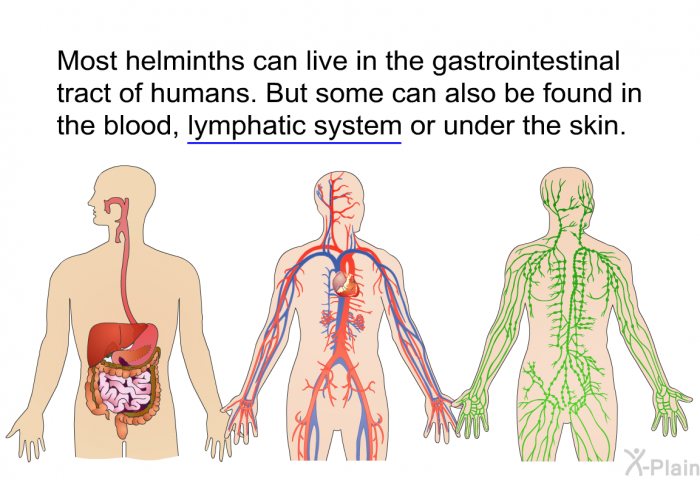 Most helminths can live in the gastrointestinal tract of humans. But some can also be found in the blood, lymphatic system or under the skin.