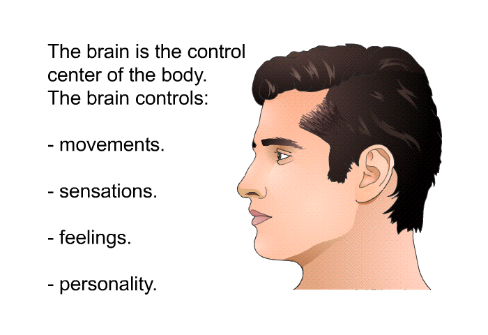 The brain is the control center of the body. The brain controls:  Movements. Sensations. Feelings. Personality.