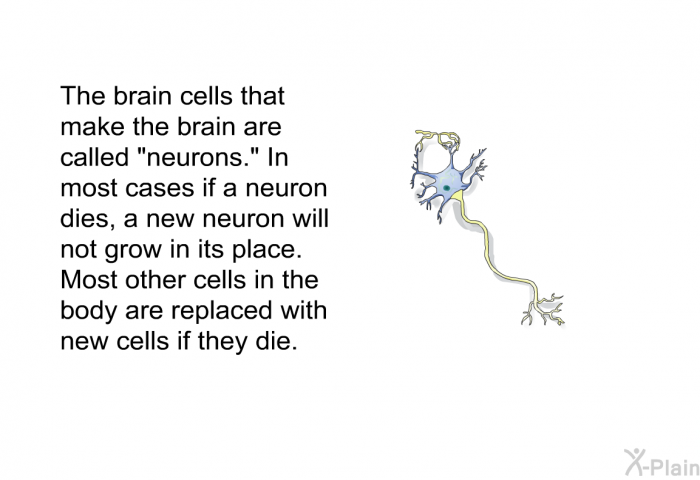 The brain cells that make the brain are called “neurons.” In most cases if a neuron dies, a new neuron will not grow in its place. Most other cells in the body are replaced with new cells if they die.