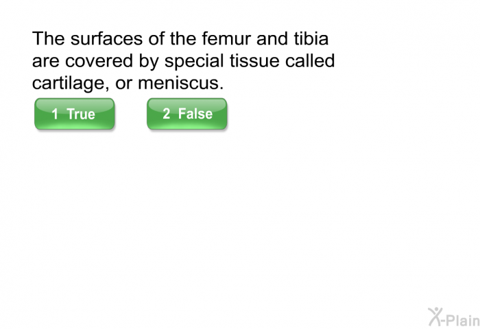 The surfaces of the femur and tibia are covered by special tissue called cartilage, or meniscus.