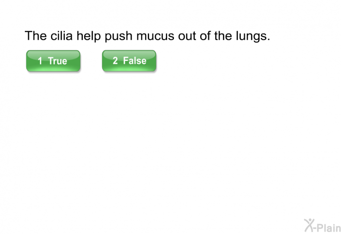 The cilia help push mucus out of the lungs.
