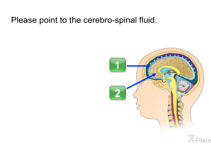 Please point to the cerebro-spinal fluid. Press A, B or C