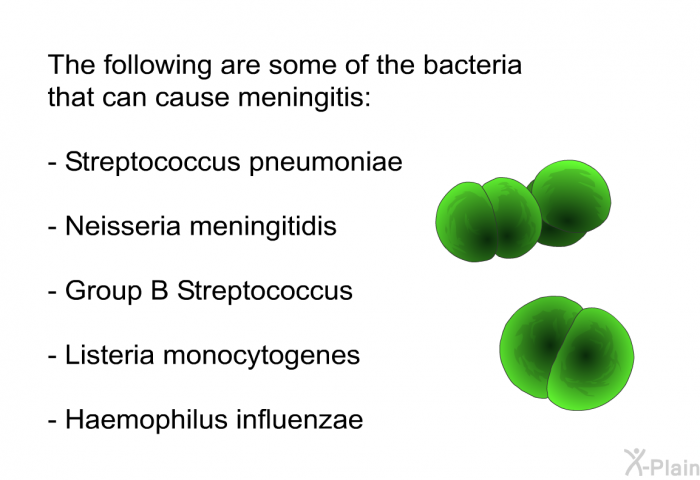 The following are some of the bacteria that can cause meningitis:  Streptococcus pneumoniae Neisseria meningitidis Group B Streptococcus Listeria monocytogenes Haemophilus influenzae