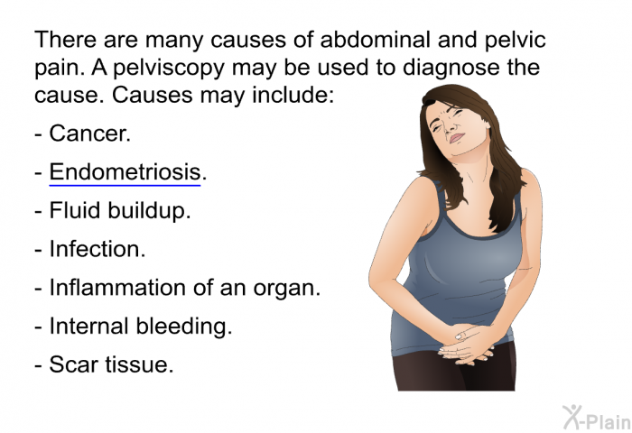 There are many causes of abdominal and pelvic pain. A pelviscopy may be used to diagnose the cause. Causes may include:  Cancer. Endometriosis. Fluid buildup. Infection. Inflammation of an organ. Internal bleeding. Scar tissue.