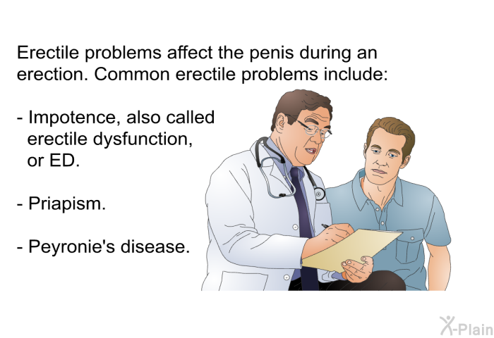 Erectile problems affect the penis during an erection. Common erectile problems include:  Impotence, also called erectile dysfunction, or ED. Priapism. Peyronie's disease.